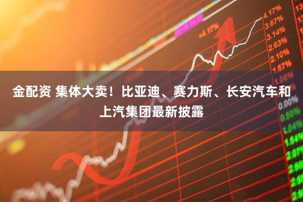 金配资 集体大卖！比亚迪、赛力斯、长安汽车和上汽集团最新披露
