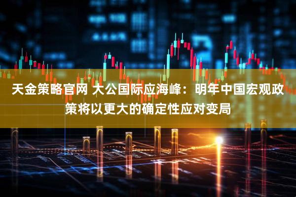 天金策略官网 大公国际应海峰：明年中国宏观政策将以更大的确定性应对变局
