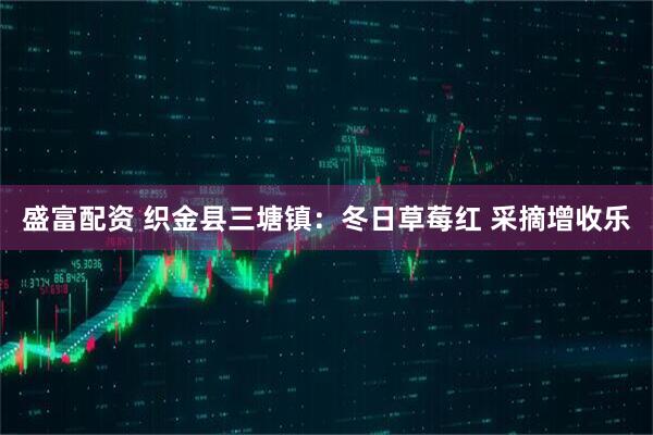 盛富配资 织金县三塘镇：冬日草莓红 采摘增收乐